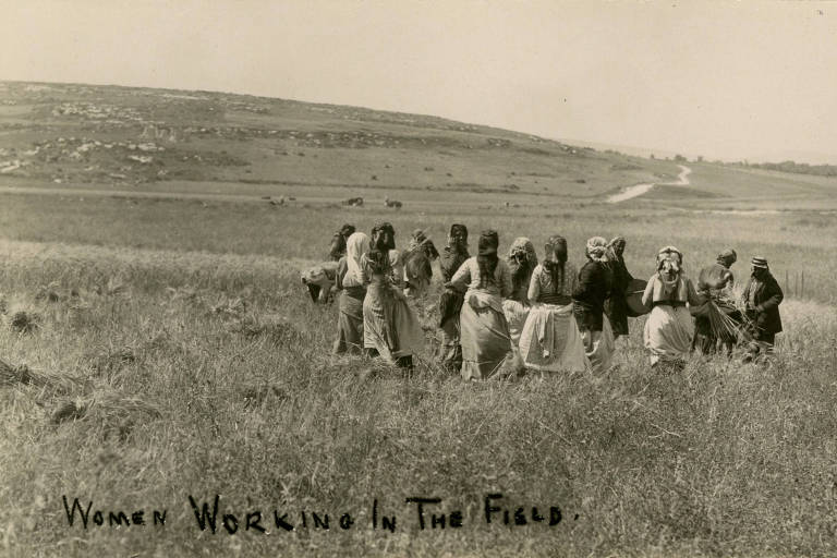 Mulheres de cabeça coberta estão reunidas no meio de um campo