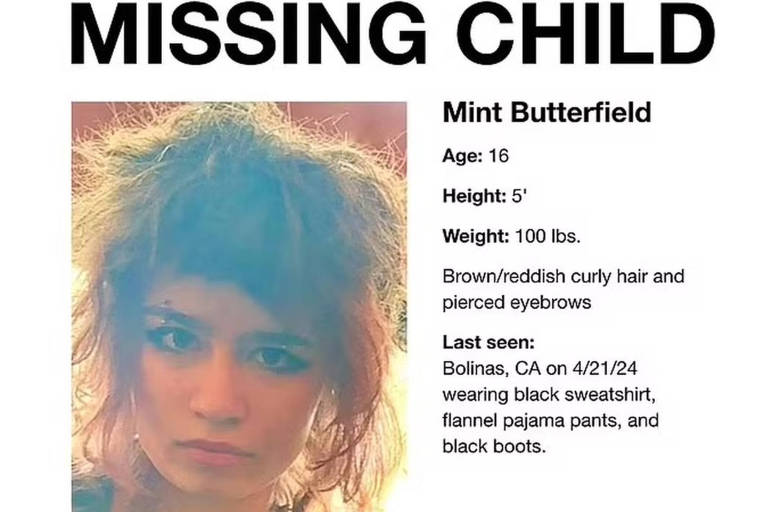 Anúncio do desaparecimento de Mint Butterfield acompanhado de foto e informações da adolescente