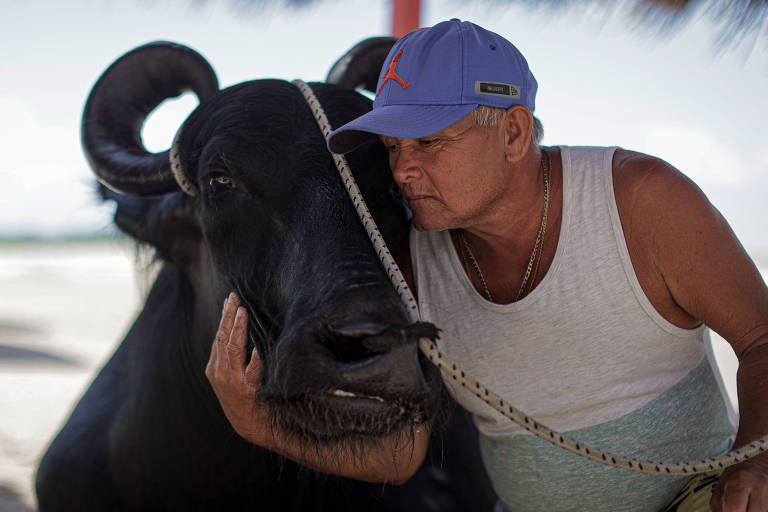Homem branco posa com búfalo numa praia.