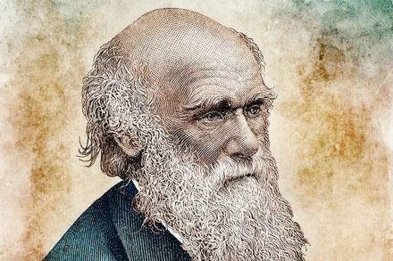 Darwin