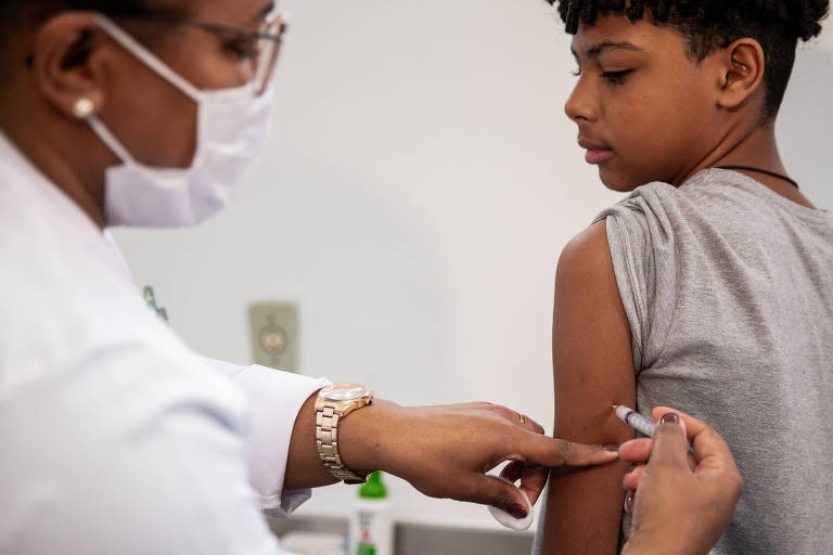 Vacina contra dengue chegará a 214 municípios de SP; veja quais