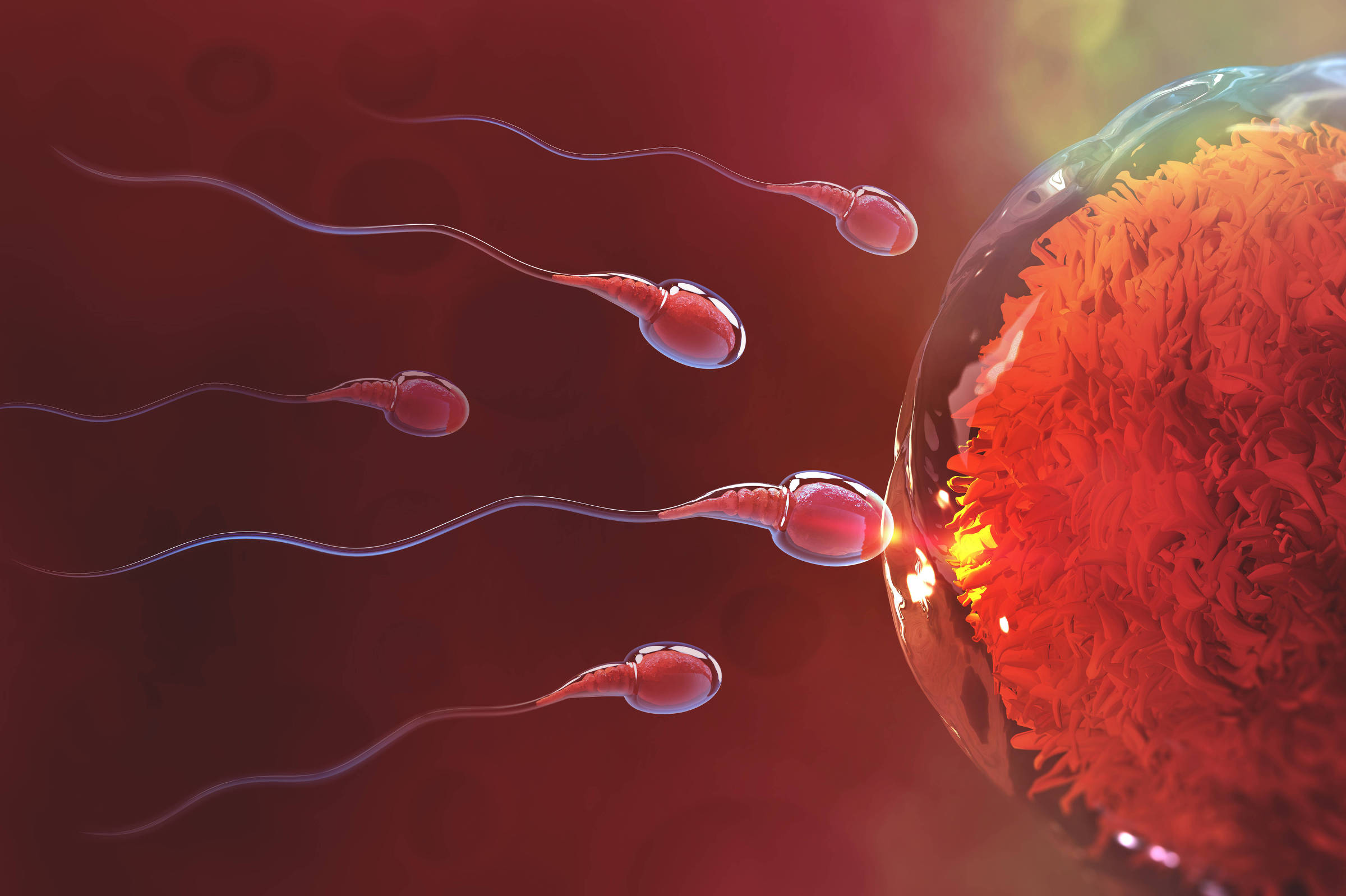 Infertilidade masculina: como o esperma produzido em laboratório pode transformar tratamento