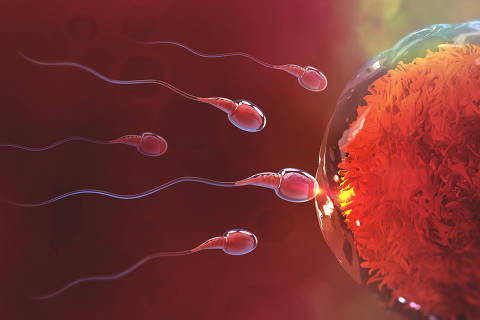 Sperm and egg cell. Natural fertilization. 3d illustration on red background