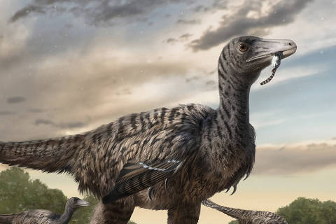 In an undated image from Yingliang Stone Natural History Museum, the Fujianipus yingliangi. The 90-million-year-old raptor is believed to have competed with tyrannosaurs of similar size in Cretaceous China. (Yingliang Stone Natural History Museum via The New York Times) -- NO SALES; FOR EDITORIAL USE ONLY WITH NYT STORY GIANT VELOCIRAPTOR BY JACK TAMISIEA FOR APRIL 24, 2024. ALL OTHER USE PROHIBITED. -- ORG XMIT: XNYT0566