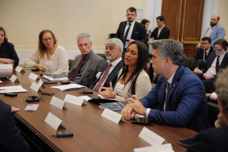 Comitiva brasileira faz reunião em Washington com deputados democratas