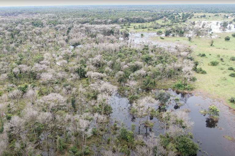 Pantanal: como 'furos' em lei permitiram que fazendeiro suspeito de usar agrotóxico da Guerra do Vietnã recebesse empréstimos públicos