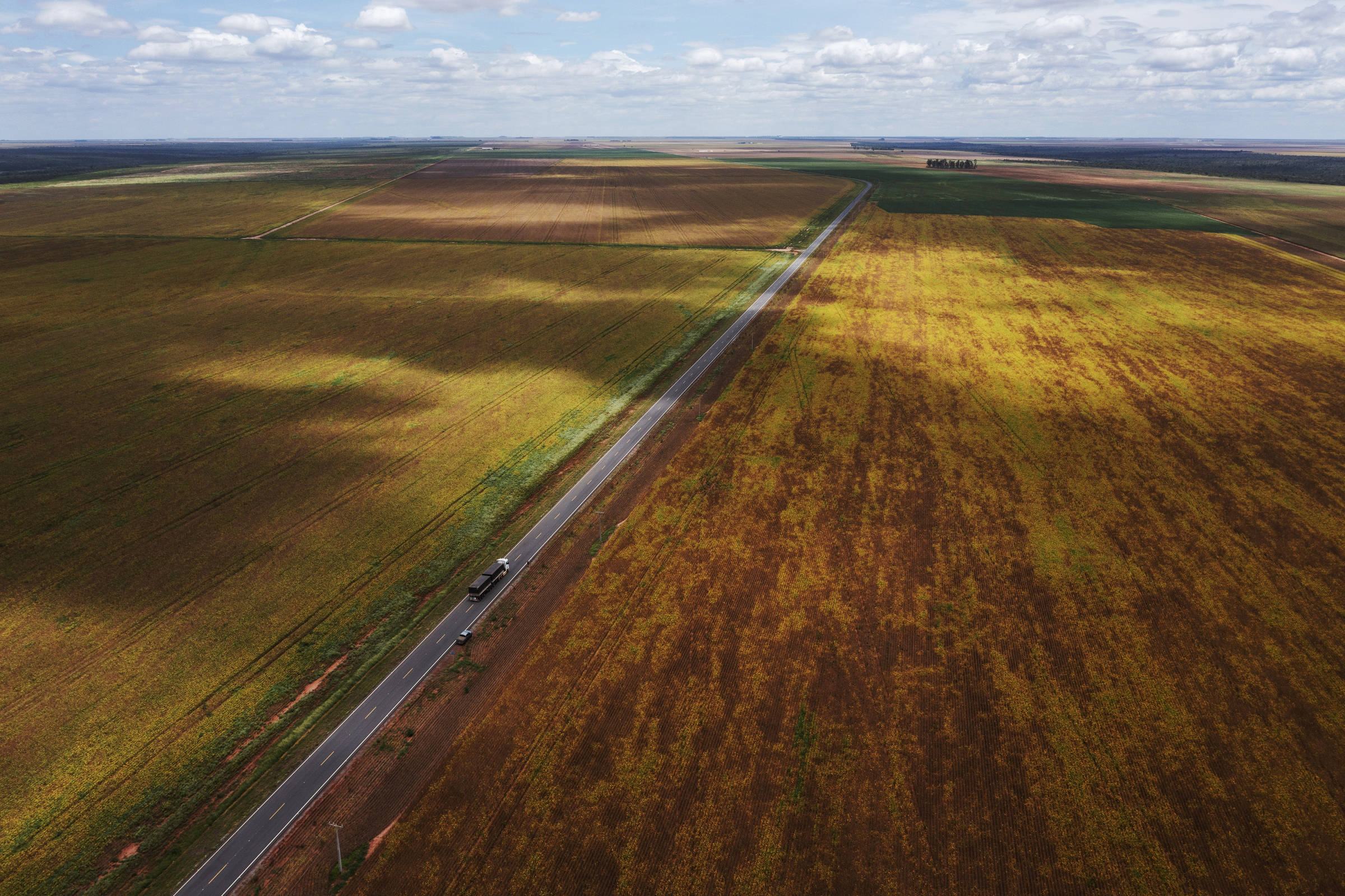 Vista aérea de caminhão que passa por estrada cruzando lavouras de soja