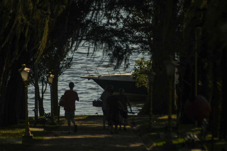Floresta do clube; ao fundo, a represa de Guarapiranga