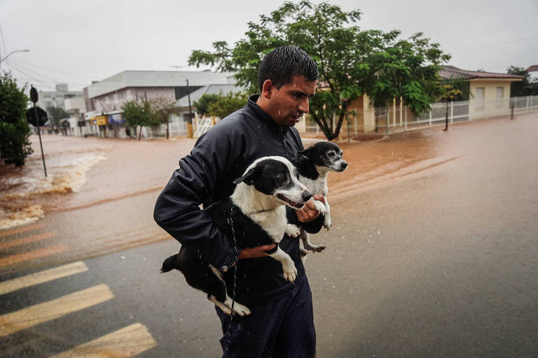 Além dos moradores, os pets também foram resgatados das áreas alagadas, sendo levados para locais mais altos nas cidades