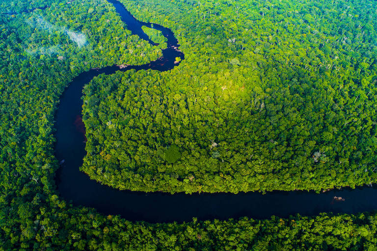 vista aérea de rio em meio a vegetação amazonica fechada
