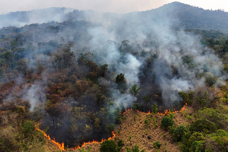 Floresta queimando vista de cima, de drone