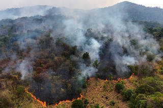 Firefighters attempt to control fire in a rainforest in Canta