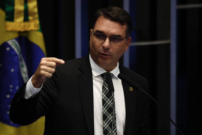 Veja vídeo: Flávio Bolsonaro critica Anielle, fala palavrões e Contarato reage com 'Vai estudar história'