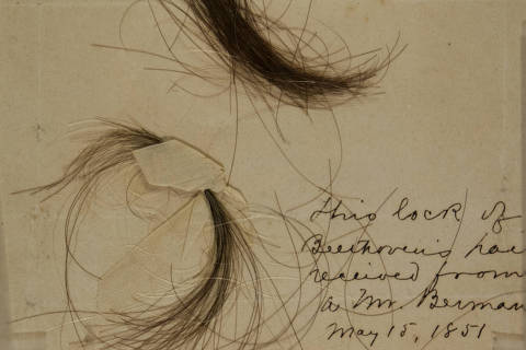 Two authenticated locks of Beethoven's hair collected by Alexander Thayer, which were found to contain astounding levels of lead per gram of hair. Using powerful technologies, scientists found lead and other toxic substances in the composer's hair that may have come from wine, or other sources. -- NO SALES; FOR EDITORIAL USE ONLY WITH NYT STORY BEETHOVEN DEAFNESS BY GINA KOLATA FOR MAY 6, 2024.  ORG XMIT: XNYT0236