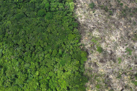 FILE PHOTO: An aerial view shows a deforested area during an operation to combat deforestation near Uruara, Para State, Brazil January 21, 2023. REUTERS/Ueslei Marcelino/File Photo ORG XMIT: FW1