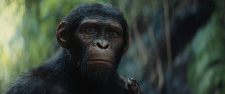 Cena do filme 'Planeta dos Macacos: O Reinado', de Wes Ball