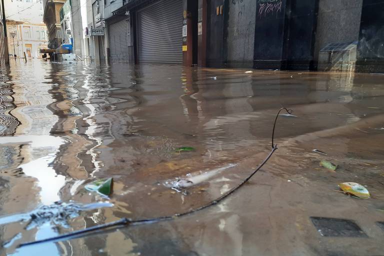 Após jacarés, peixes são vistos nadando nas ruas alagadas de Porto Alegre