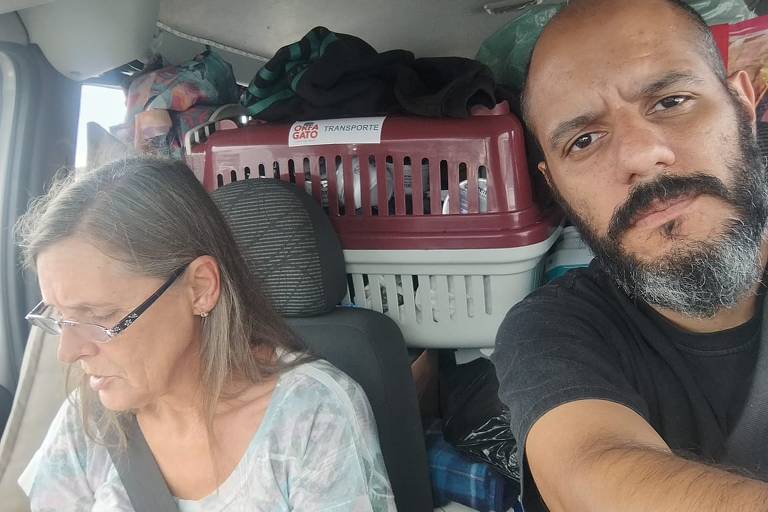 ONGs de São Paulo acolhem 64 gatos resgatados das enchetes do Rio Grande do Sul