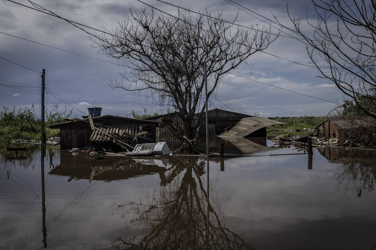 Imagem de uma casa de madeira parcialmente submersa pelas águas do lago Guaíba; ao lado, uma árvore sem folhas com reflexo nas águas