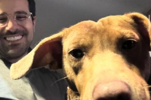 Repórter Paulo Mathias adota cão perdido no Rio Grande do Sul