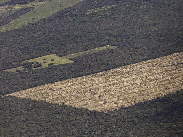 Imagem aérea mostra desmatamento em encrave da mata atlântica no município de Wanderley, na Bahia