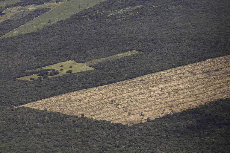 Imagem aérea mostra desmatamento em encrave da mata atlântica no município de Wanderley, na Bahia