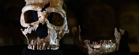 A picture shows the rebuilt skull of a 75,000-year-old Neanderthal woman, named Shanidar Z, after the cave in Iraqi Kurdistan where her skull was found in 2018, at the University of Cambridge, eastern England, on April 25, 2024. A UK team of archaeologists on Thursday revealed the reconstructed face of a 75,000-year-old Neanderthal woman as researchers reappraise the perception of the species as brutish and unsophisticated. Emma Pomeroy, the Cambridge palaeo-anthropologist who uncovered Shanidar Z, said finding her skull and upper body had been both 