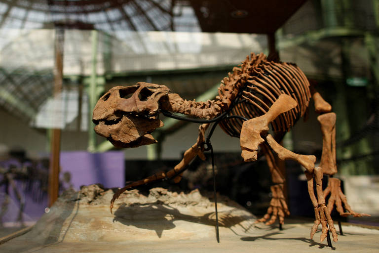 Fóssil de dinossauro tem grandes áreas de pele preservada