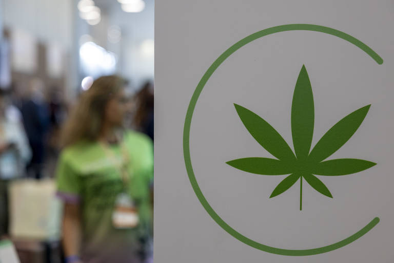 A imagem mostra um grande símbolo de uma folha de cannabis verde dentro de um círculo, destacado à direita. Ao fundo, desfocado, há uma pessoa usando uma camiseta verde
