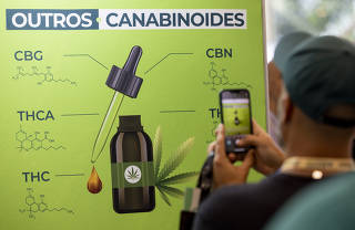 Feira e Congresso de Cannabis Medicinal