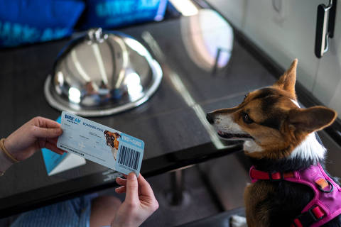 A woman shows a dog?s boarding pass after boarding a plane during a press event introducing Bark Air, an airline for dogs, at Republic Airport in East Farmingdale, New York, May 21, 2024. REUTERS/Eduardo Munoz ORG XMIT: PPP-EMZ1721