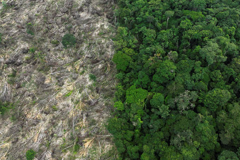 FILE PHOTO: An aerial view shows a deforested area during an operation to combat deforestation near Uruara, Para State, Brazil January 21, 2023. REUTERS/Ueslei Marcelino/File Photo ORG XMIT: FW1