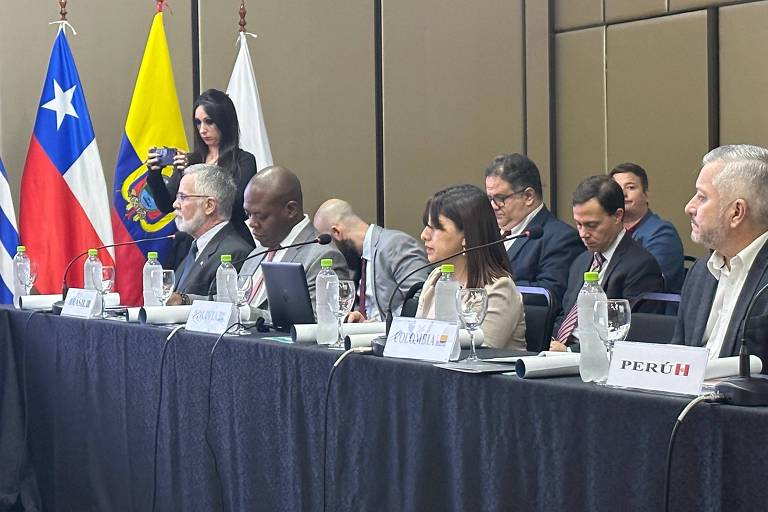 Ministro Silvio Almeida participa da 43ª Reunião de Altas Autoridades sobre Direitos Humanos do Mercosul