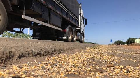 MATOGROSSO -  SUPERPAUTA AGRO ESTRADAS  -   Milho que cai de caminhões que trafegam pela BR-163, principal rodovia para o escoamento da produção de grãos no Mato Grosso. (Foto: Fernando Canzian/Folhapress )