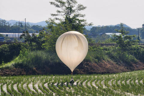 A balloon believed to have been sent by North Korea, carrying various objects including what appeared to be trash and excrement, is seen over a rice field at Cheorwon, South Korea, May 29, 2024.     Yonhap via REUTERS   THIS IMAGE HAS BEEN SUPPLIED BY A THIRD PARTY. NO RESALES. NO ARCHIVES. SOUTH KOREA OUT. NO COMMERCIAL OR EDITORIAL SALES IN SOUTH KOREA. ORG XMIT: YON01