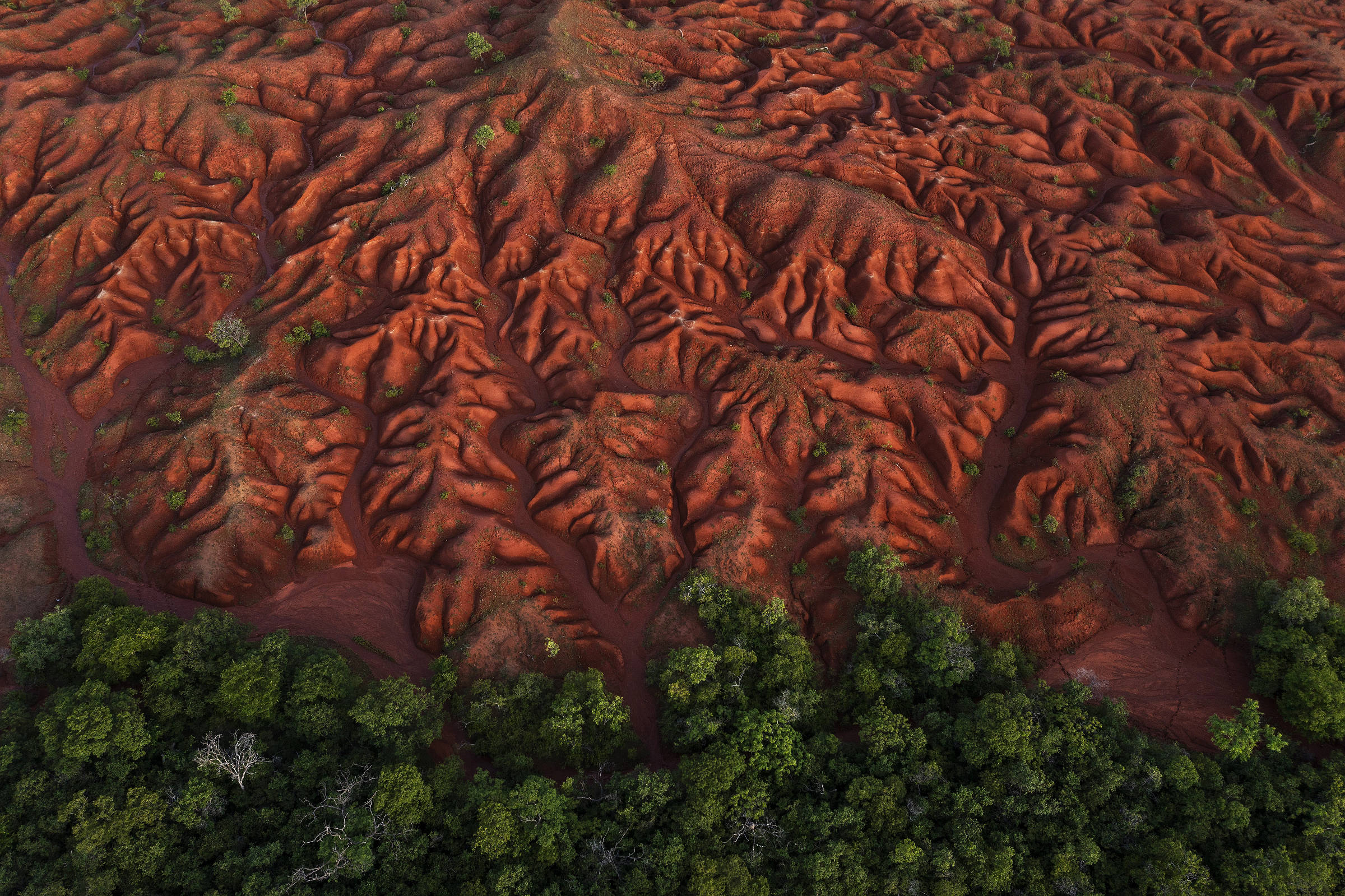 Vista aérea de área em processo de desertificação, exibindo terra vermelha e imensas voçorocas