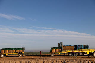Agriculture is seen in the Imperial Valley, the single largest recipient of Colorado River water
