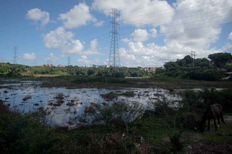 Área alagada do reservatório de amortecimento no bairro de Cassange, em Salvador