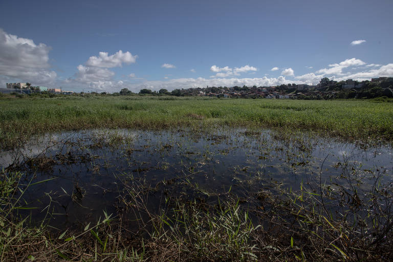 Área alagada no reservatório de amortecimento no Parque Rosa dos Ventos, no Jardim das Margaridas