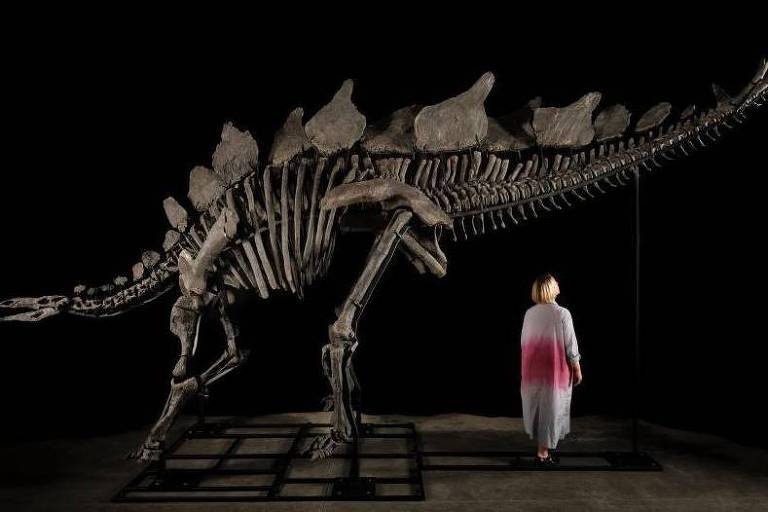 O caçador de dinossauros que achou no 'quintal' fóssil que será leiloado por milhões de dólares