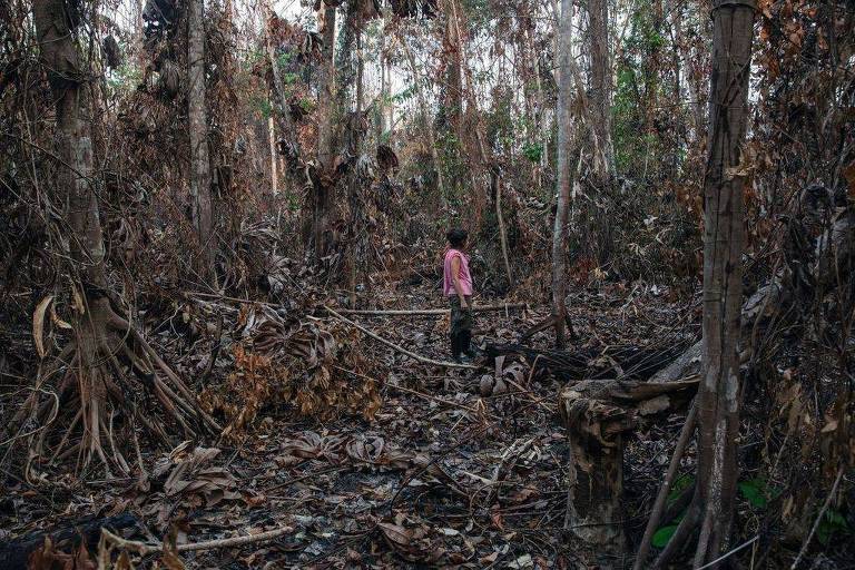 Mulher em floresta queimada