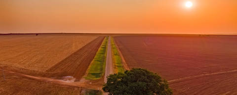 Foto aérea no campo, pós colheita de algodão, Chapada dos Guimarães, Mato Grosso, Brasil, América do Sul. (fOTO: Ademir/Adobe Stock )