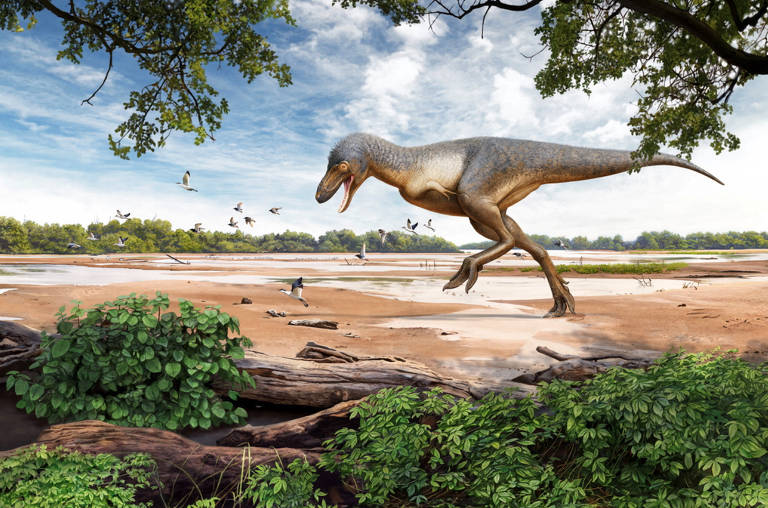 Família encontra fóssil de T. rex jovem durante trilha nos EUA