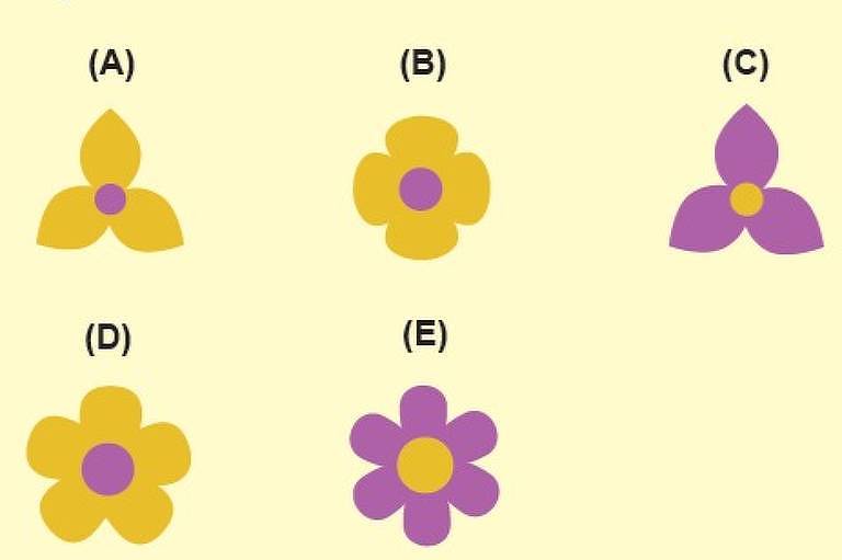 Questão sobre flores em olimpíada de matemática intriga e até revolta internet