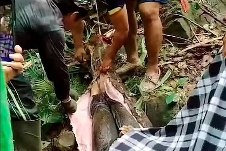 Moradores de uma comunidade da Indonésia conseguem resgastar corpo da mulher engolida por uma píton