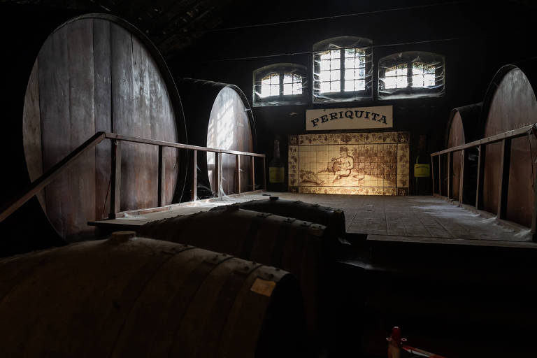 Interior de uma adega com tonéis de madeira gigantes, escada com corrimão e 3 janelas acima, por onde entra luz no ambiente rústico. Placa com o nome do vinho 'Periquita' é visto abaixo das janelas.