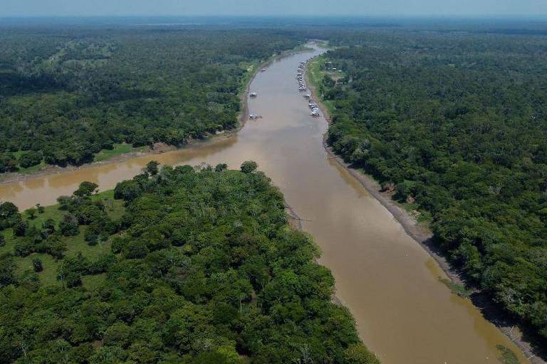 Vista aérea revela um rio de águas que serpenteia através de uma densa floresta tropical.