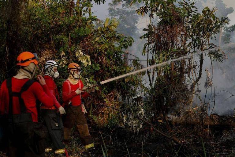 Bombeiros em ação, vestindo equipamentos de proteção vermelhos, combatem um incêndio florestal, enfrentando a densa fumaça e as chamas que consomem a vegetação ao redor.