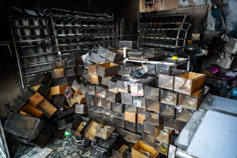 Caixas com répteis queimadas após incêndio no mercado de Chatuchak, em Bangcoc