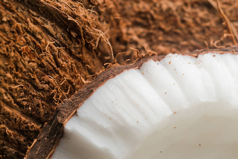 O coco é a base do leite de coco